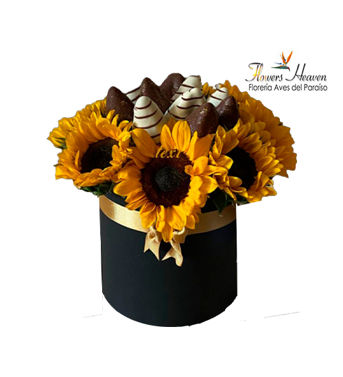 EL30-Para mimarlo.jpg